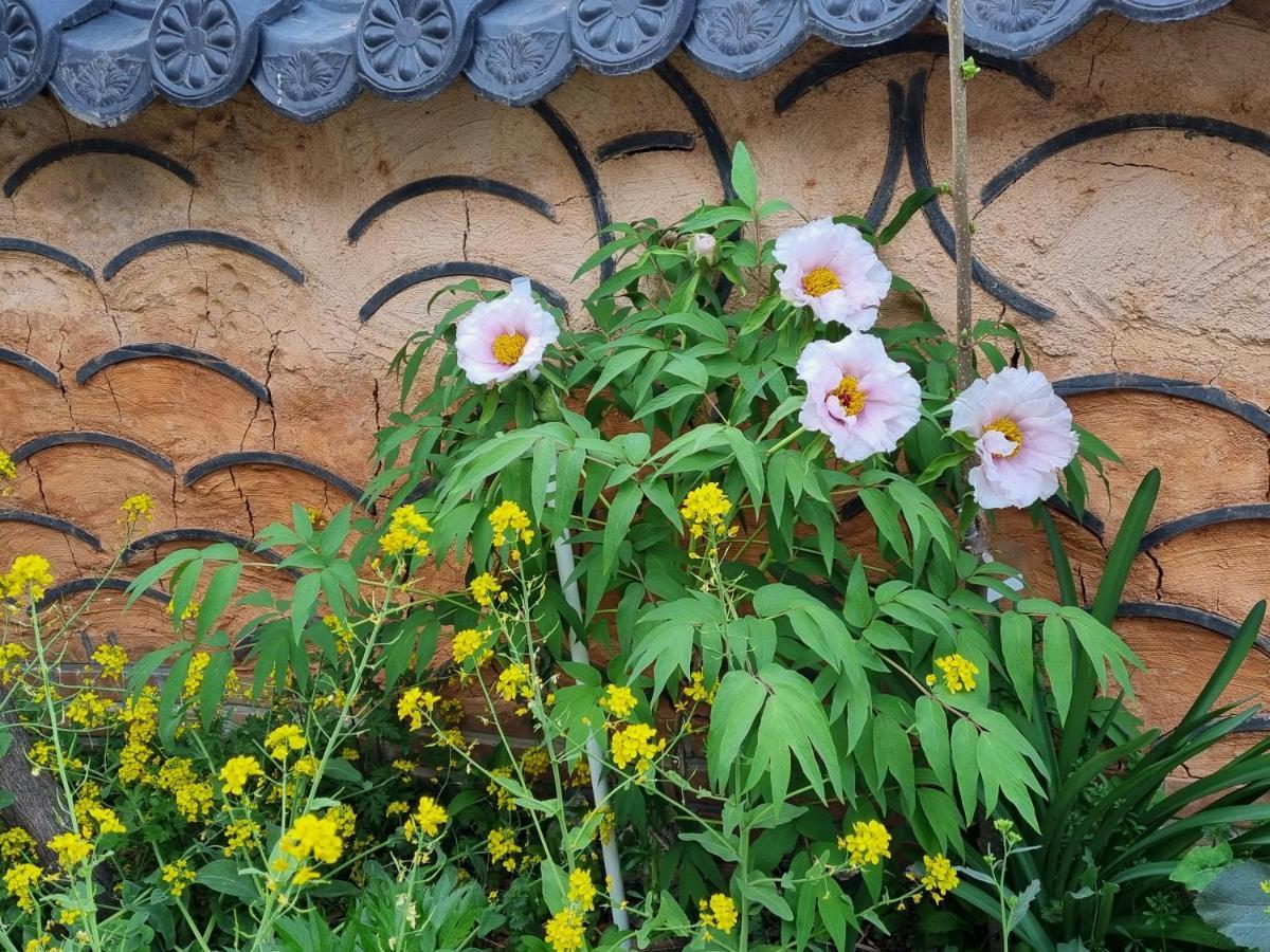Dasomchae Hanok Stay Gwangju Metropolitan City Екстериор снимка